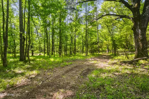 Spring Road, Flora, MS 39071 photo 23