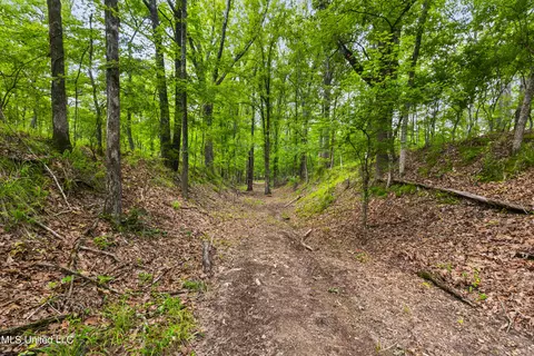 Spring Road, Flora, MS 39071 photo 26