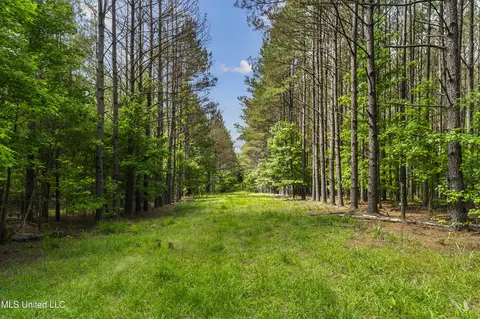 Spring Road, Flora, MS 39071 photo 2