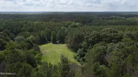 Spring Road, Flora, MS 39071 photo 34