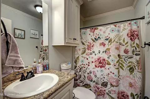 241 Stonebridge Blvd, Brandon, MS 39042 photo 27