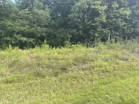 1 Ac Barton Agricola Rd, Lucedale, MS 39452 photo 7
