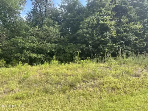 1 Ac Barton Agricola Rd, Lucedale, MS 39452