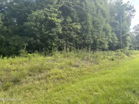 1 Ac Barton Agricola Rd, Lucedale, MS 39452 photo 8