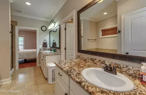Bath - 110 Grayhawk Dr, Madison, MS 39110 photo 4 of 8