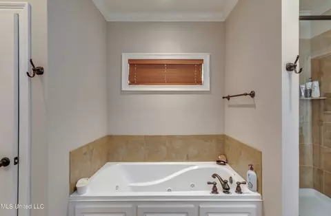 Bath - 110 Grayhawk Dr, Madison, MS 39110 photo 5 of 8