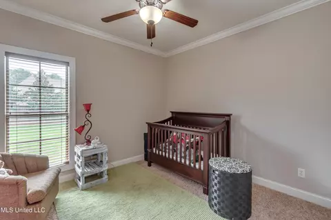 Other - 110 Grayhawk Dr, Madison, MS 39110 photo 7 of 11