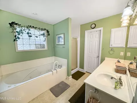 Bath - 310 Afton Dr, Brandon, MS 39042 photo 1 of 3