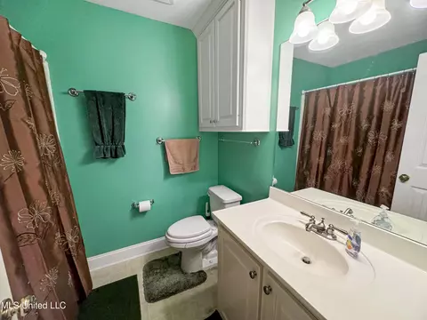 Bath - 310 Afton Dr, Brandon, MS 39042 photo 3 of 3