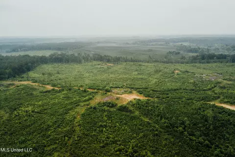 Patt Cobb Rd, Canton, MS 39046 photo 3