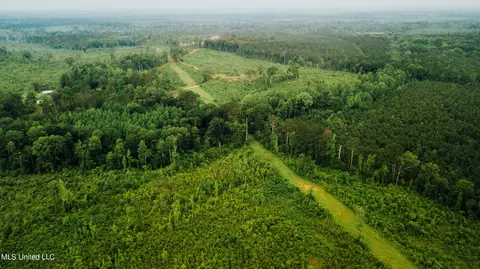 Patt Cobb Rd, Canton, MS 39046 photo 6