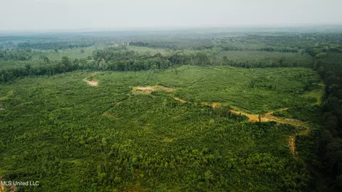 Patt Cobb Rd, Canton, MS 39046 photo 7