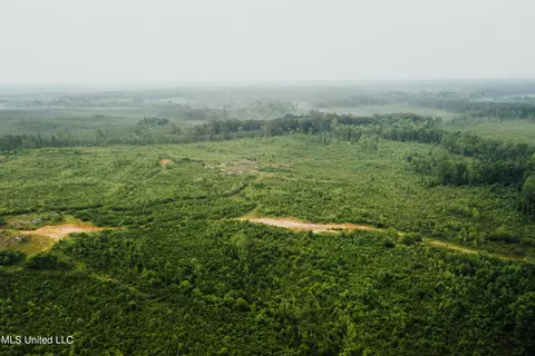 Patt Cobb Rd, Canton, MS 39046 photo 4