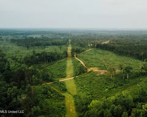 Patt Cobb Rd, Canton, MS 39046 photo 5