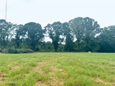 5 93 Acres Webb Dairy Rd, Lucedale, MS 39452