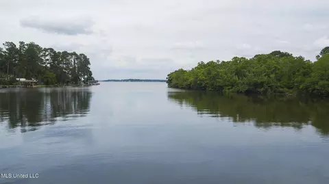 View/Area - 602 Forest Point Dr, Brandon, MS 39047 photo 2 of 3