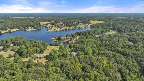 View/Area - 636 Cedar Hill Rd, Flora, MS 39071 photo 3 of 17