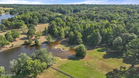View/Area - 636 Cedar Hill Rd, Flora, MS 39071 photo 12 of 17