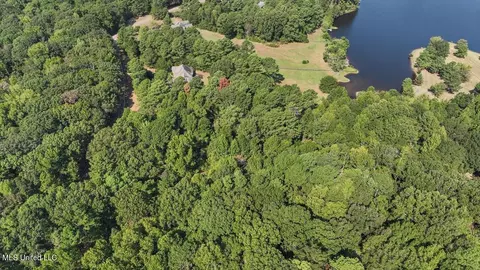 View/Area - 636 Cedar Hill Rd, Flora, MS 39071 photo 6 of 17