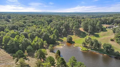 View/Area - 636 Cedar Hill Rd, Flora, MS 39071 photo 16 of 17