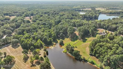 View/Area - 636 Cedar Hill Rd, Flora, MS 39071 photo 8 of 17