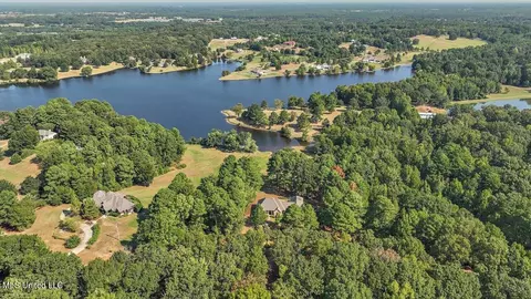 View/Area - 636 Cedar Hill Rd, Flora, MS 39071 photo 2 of 17
