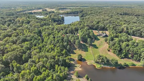 View/Area - 636 Cedar Hill Rd, Flora, MS 39071 photo 7 of 17