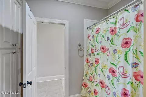 Bath - 636 Cedar Hill Rd, Flora, MS 39071 photo 6 of 8