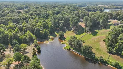 View/Area - 636 Cedar Hill Rd, Flora, MS 39071 photo 9 of 17