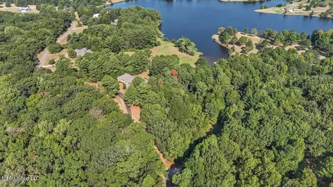 View/Area - 636 Cedar Hill Rd, Flora, MS 39071 photo 5 of 17