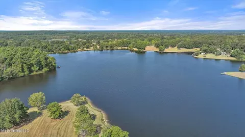 View/Area - 636 Cedar Hill Rd, Flora, MS 39071 photo 15 of 17