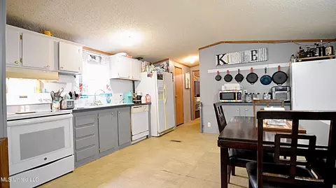 421 Cherry Tree Ln, Coldwater, MS 38618 photo 9