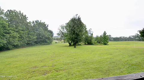 421 Cherry Tree Ln, Coldwater, MS 38618 photo 19