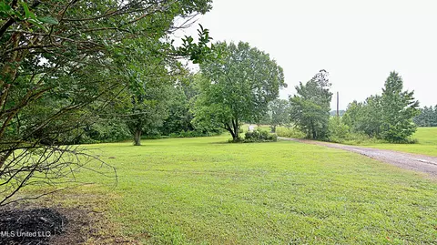 421 Cherry Tree Ln, Coldwater, MS 38618 photo 3