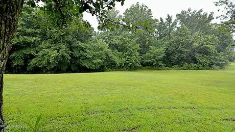 421 Cherry Tree Ln, Coldwater, MS 38618 photo 18
