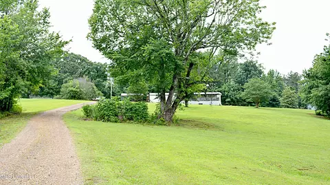 421 Cherry Tree Ln, Coldwater, MS 38618 photo 2