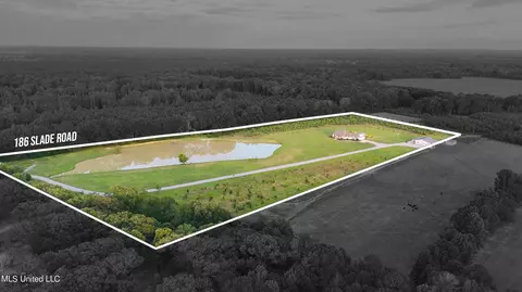 View/Area - 186 Slade Rd, Morton, MS 39117 photo 5 of 5