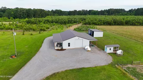 Other - 186 Slade Rd, Morton, MS 39117 photo 20 of 25