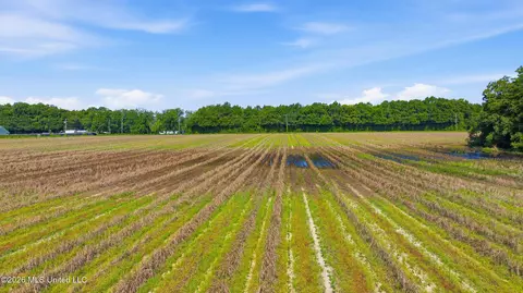 28 Acres Harmon Pope Rd, Lucedale, MS 39452 photo 42