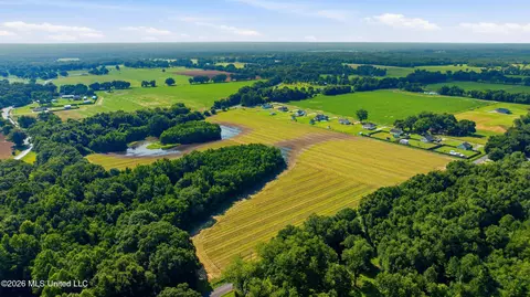 28 Acres Harmon Pope Rd, Lucedale, MS 39452 photo 9