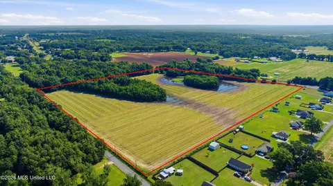 28 Acres Harmon Pope Rd, Lucedale, MS 39452 photo 6