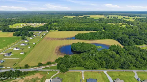 28 Acres Harmon Pope Rd, Lucedale, MS 39452 photo 15