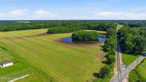 28 Acres Harmon Pope Rd, Lucedale, MS 39452 photo 18