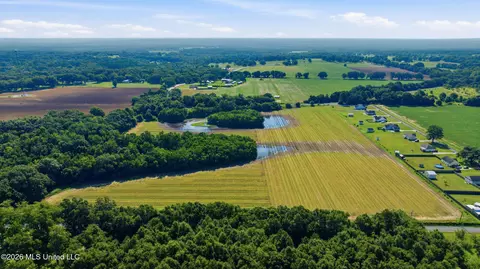 28 Acres Harmon Pope Rd, Lucedale, MS 39452 photo 10