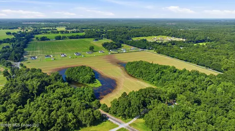 28 Acres Harmon Pope Rd, Lucedale, MS 39452 photo 12