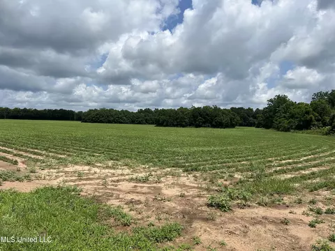 28 Acres Harmon Pope Rd, Lucedale, MS 39452