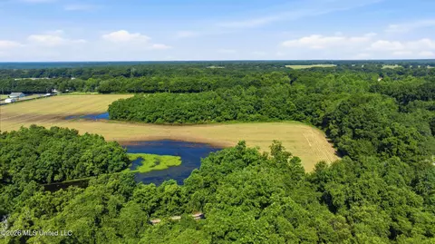 28 Acres Harmon Pope Rd, Lucedale, MS 39452 photo 34