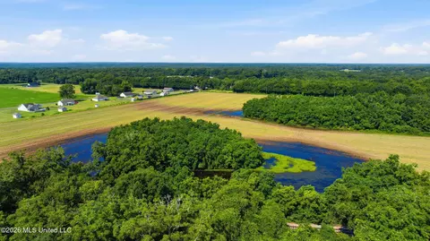 28 Acres Harmon Pope Rd, Lucedale, MS 39452 photo 36