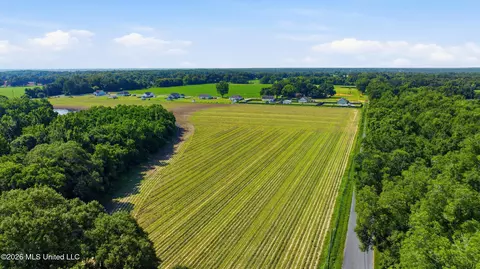 28 Acres Harmon Pope Rd, Lucedale, MS 39452 photo 30