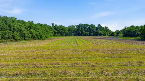 28 Acres Harmon Pope Rd, Lucedale, MS 39452 photo 37